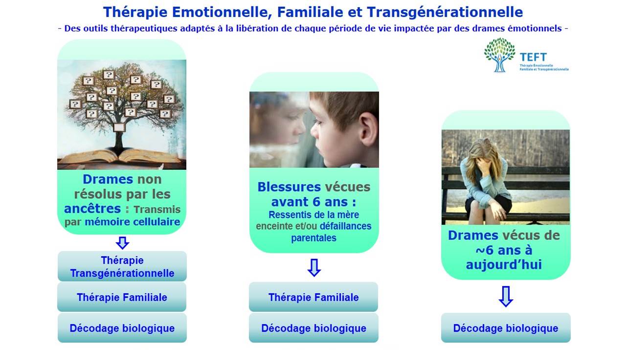 Diagramme des cours théoriques AIMP